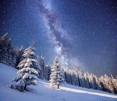 sihirli ağaç yıldızlı kış gecesi