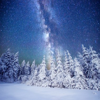 Kış ormanda süt Star Trek