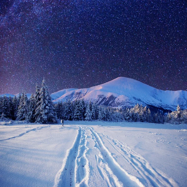 Starry sky in winter snowy night — Stock Photo, Image
