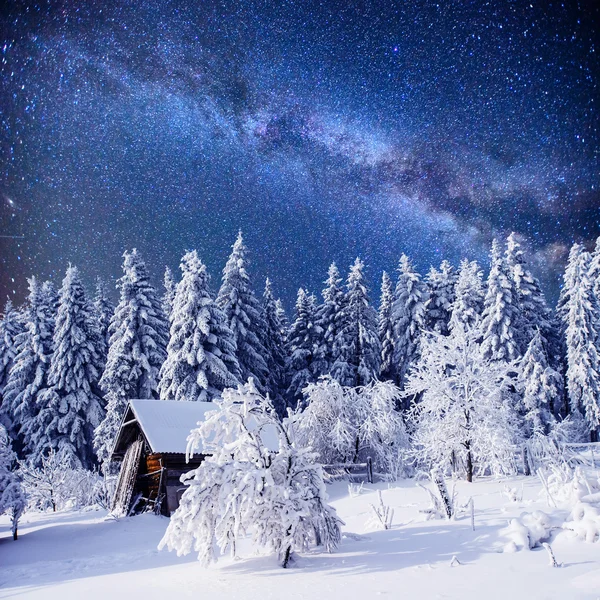 Enchanting winter tale — Stock Photo, Image