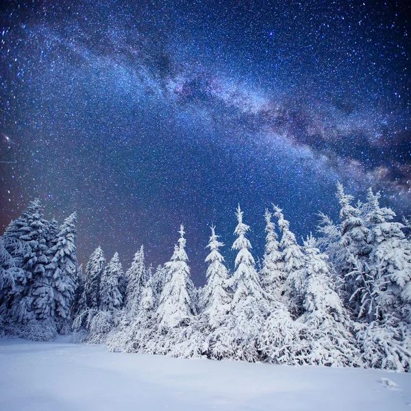 Kış ormanda süt Star Trek