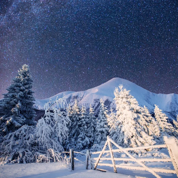 魔法の冬の風景・星の空 — ストック写真