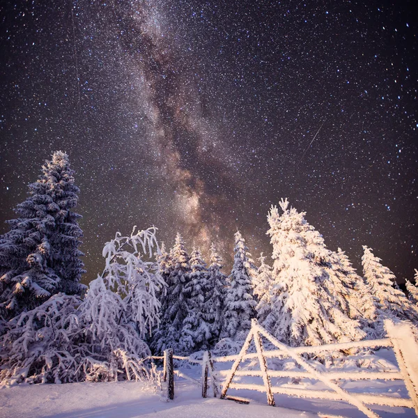 Magico paesaggio invernale — Foto Stock