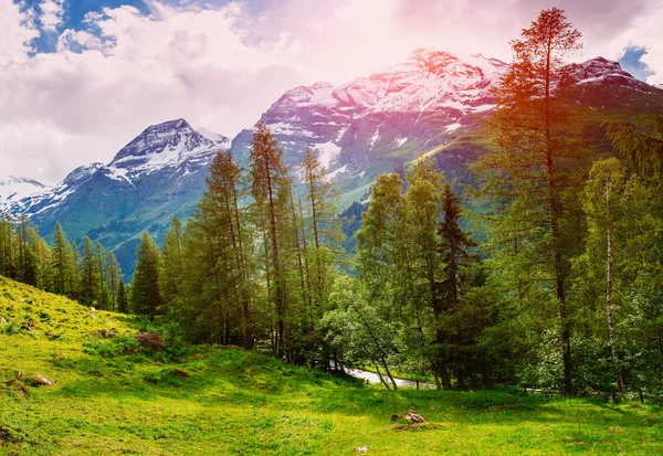 Krásný výhled na hory v Alpách — Stock fotografie