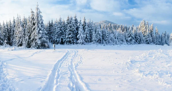 Strada invernale — Foto Stock