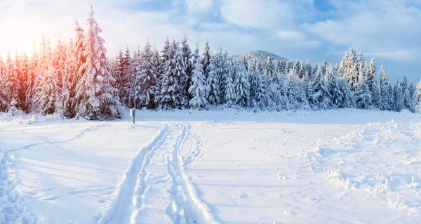 Winterstraße — Stockfoto