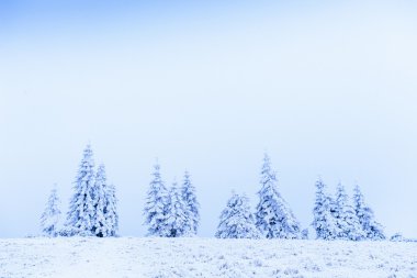 harika kış manzarası