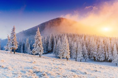 güneşli kış manzarası