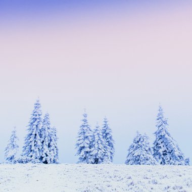 dağlarda fantastik sis