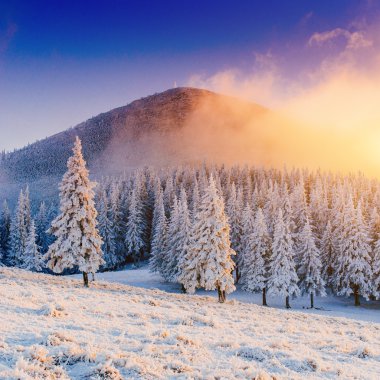 güneşli kış manzarası