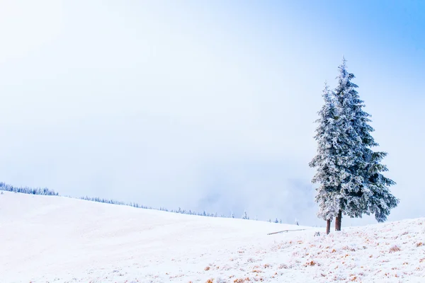 Paisagem maravilhosa inverno — Fotografia de Stock