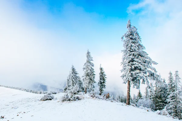 Paisagem maravilhosa inverno — Fotografia de Stock