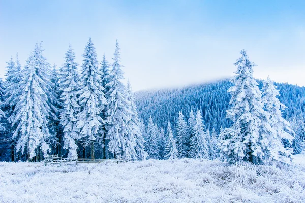 Geada em montanhas de inverno — Fotografia de Stock