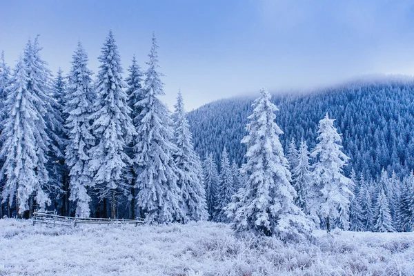 Frost i vinterbjerge - Stock-foto