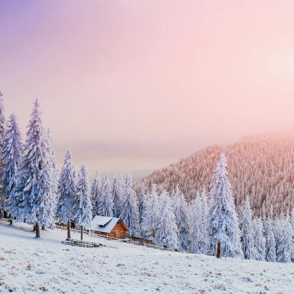 Cabine nas montanhas no inverno — Fotografia de Stock