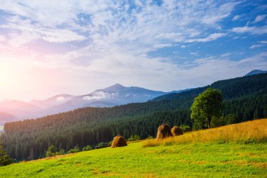 Dağlar yeşil bir çayırda saman yığını.