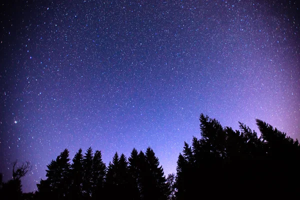 Cielo estrellado — Foto de Stock