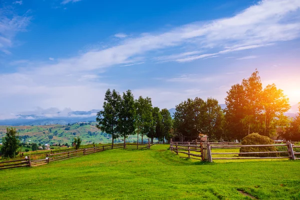 Landschap — Stockfoto