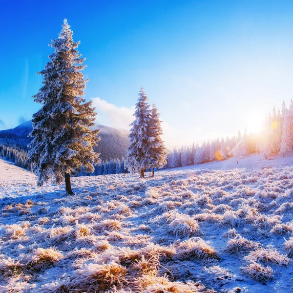 Fabulosa paisagem de inverno — Fotografia de Stock