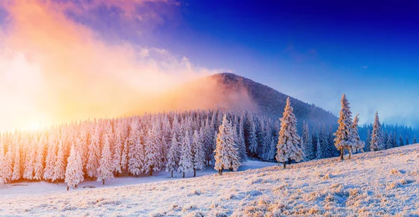 Zimní krajina — Stock fotografie