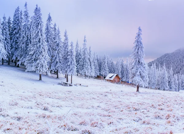 Paisagem ensolarada inverno — Fotografia de Stock