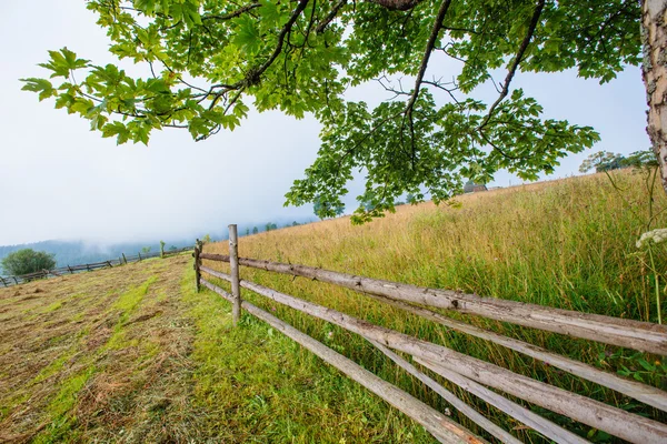 Krajina — Stock fotografie