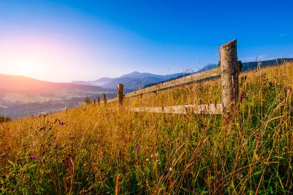 Kleurrijke zomer landschap — Stockfoto