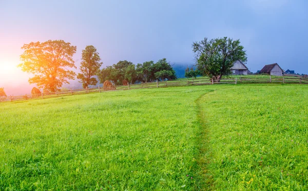 Beautiful sunny day is in mountain landscape. — Stock Photo, Image