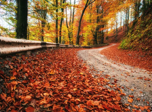 Callejón de otoño — Foto de Stock