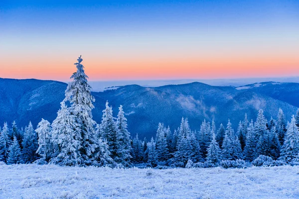 Zimní krajina stromy v mrazu — Stock fotografie