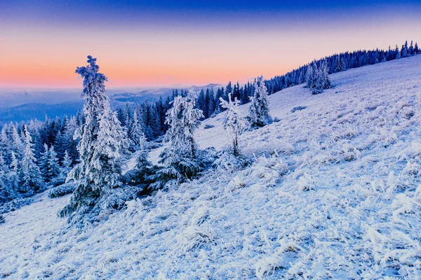 Zimowy krajobraz drzew na mróz — Zdjęcie stockowe