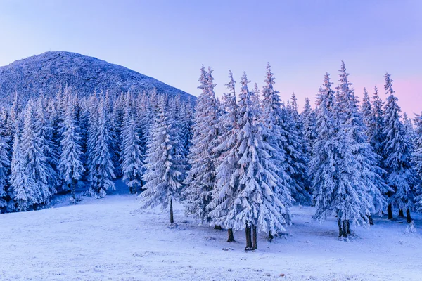 Maravilloso paisaje de invierno — Foto de Stock