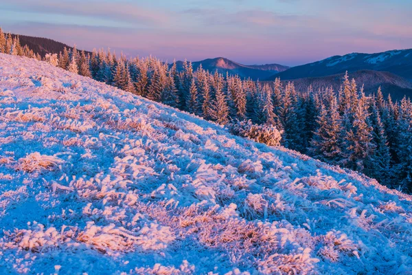 Fabuloso paisaje de invierno —  Fotos de Stock