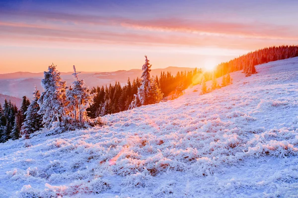 Paesaggio — Foto Stock