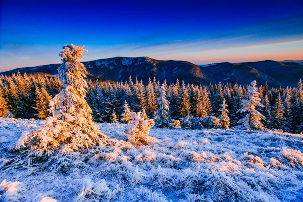 Fabulosa paisagem de inverno — Fotografia de Stock