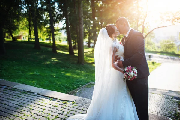 Retrato de pareja de boda — Foto de Stock