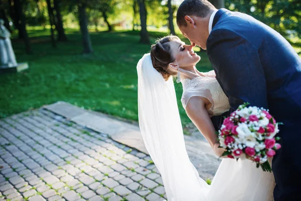 Portrait of wedding couple — Stock Photo, Image