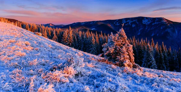 Nádherné zimní krajina — Stock fotografie