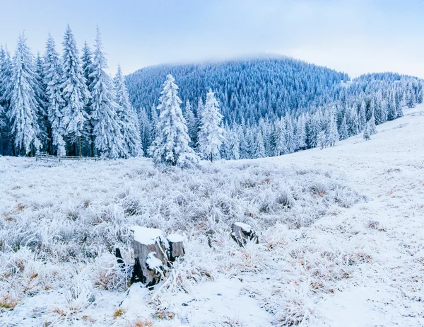Paisagem maravilhosa inverno — Fotografia de Stock