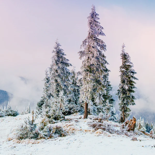 Paisagem maravilhosa inverno — Fotografia de Stock