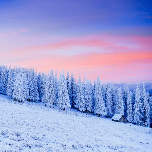 Chalet en montagne en hiver — Photo