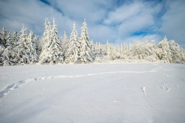 De winter weg — Stockfoto