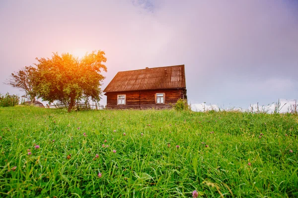 Landschaft mit bunten Wäldern bei Sonnenuntergang — Stockfoto