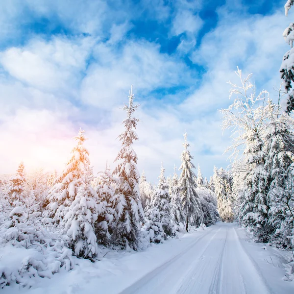 A estrada de inverno — Fotografia de Stock