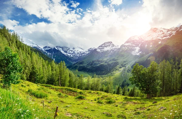 Alplerin muhteşem manzarası — Stok fotoğraf