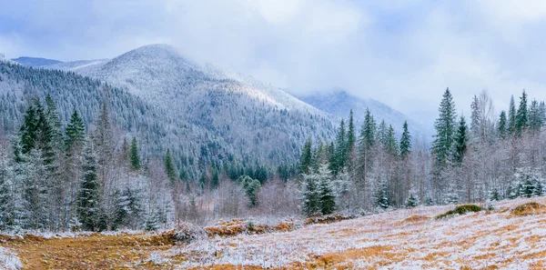 Árboles de paisaje de invierno en las heladas —  Fotos de Stock