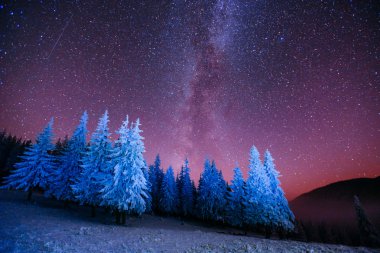 magic tree in starry winter night  clipart