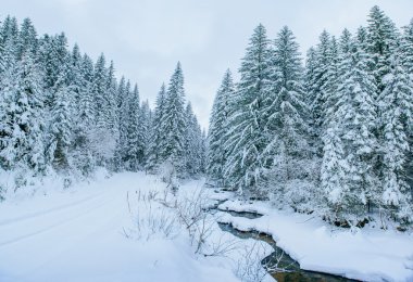 Kışın Dağ Akıntısı