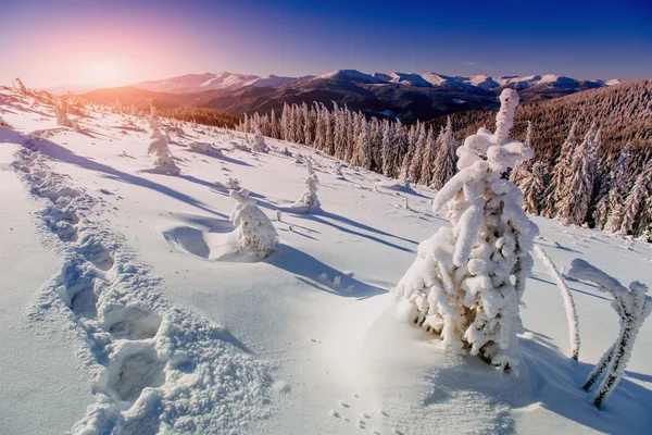 Tiefe Fußspuren im Schnee — Stockfoto