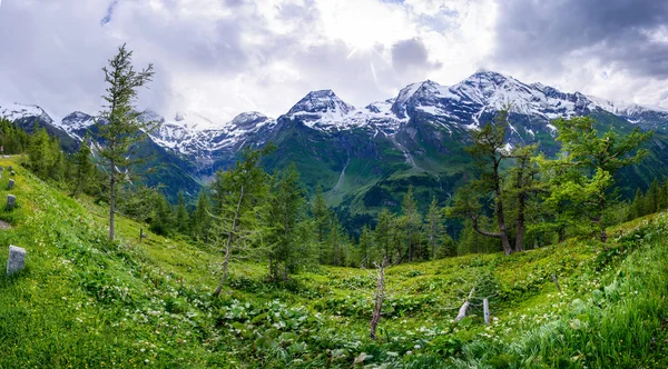 Wspaniały widok na Alpy — Zdjęcie stockowe